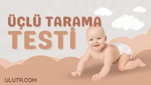 üçlü tarama testi